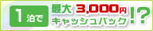 1���ōő�3000�~������ޯ�!?