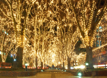 SENDAI���̃y�[�W�F���g