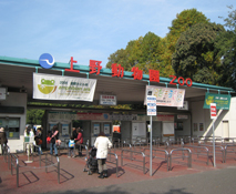 ��쓮����