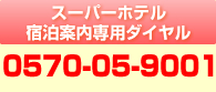 0570-05-9001
