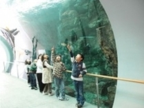 滋賀県立 琵琶湖博物館