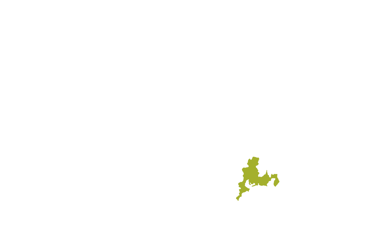 東海