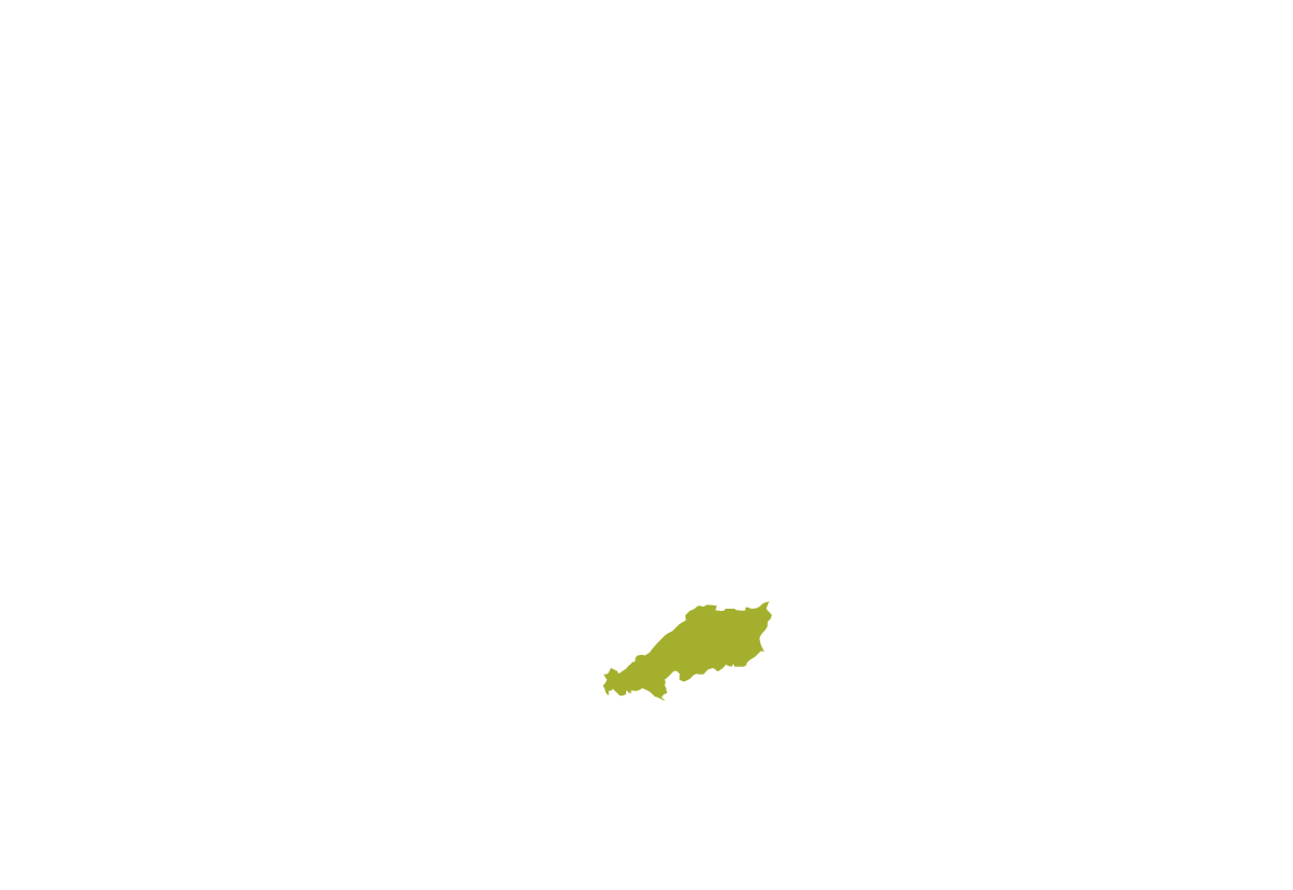 中国
