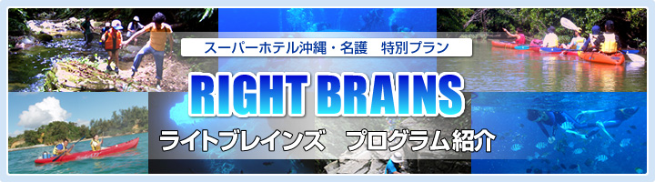 ライトブレインズプログラム紹介