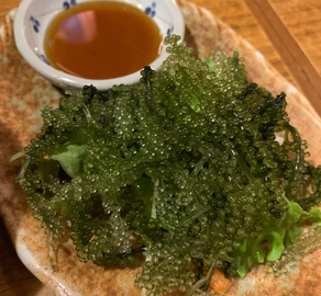 ハイサイうる虎