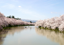 弘前公園