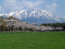 小岩井農場