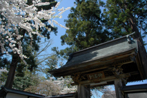 立石寺(山寺)