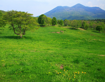 笹ヶ峰牧場