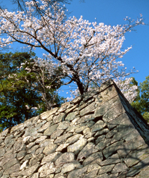 松阪城跡