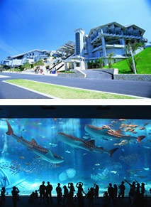 沖縄美ら海水族館（海洋博公園）