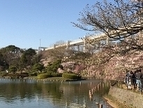 千葉公園