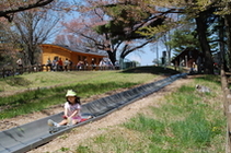 松本市アルプス公園