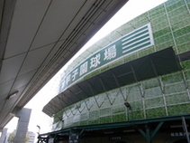 甲子園球場