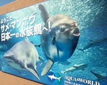 アクアワールド茨城県大洗水族館