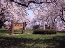 紫波城山公園