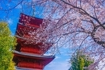 日蓮宗大本山 長栄山 池上本門寺