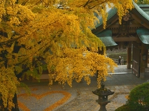 和霊神社