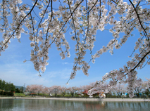 梓川ふるさと公園