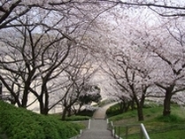 山根公園