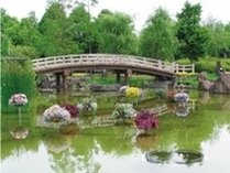 草津市立水生植物公園 みずの森