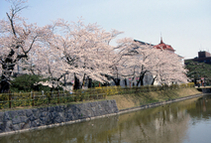 鶴岡公園