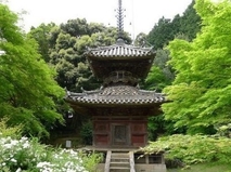 円隆寺