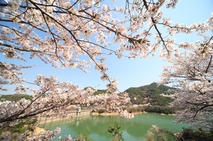 永楽ダム 奥山雨山自然公園