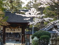 立木神社 （たちきじんじゃ）