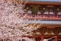 日蓮宗大本山 長栄山 池上本門寺