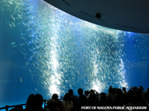 名古屋港水族館