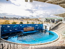 せんだいうみの杜水族館